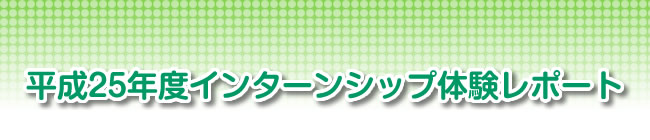 平成25年度インターンシップ体験レポート